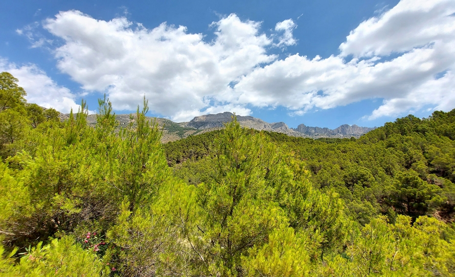 luxury-villa-altea-bernia-sea-view-alicante16