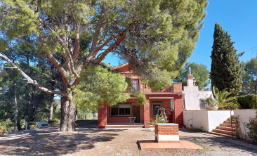 finca-casa-rustica-petrer-alicante-(16)