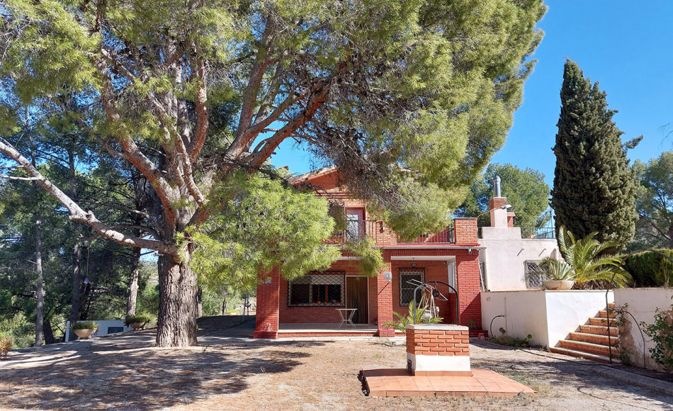 finca-casa-rustica-petrer-alicante-(16)