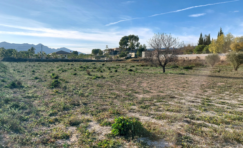 chalet-la-romana-alicante-piscina28