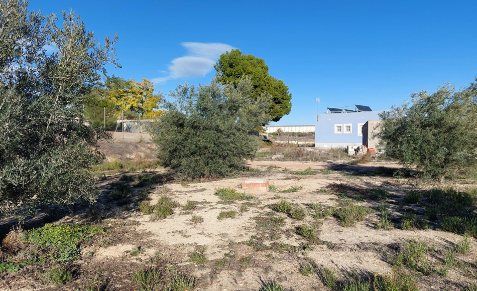 chalet-la-romana-alicante-piscina31