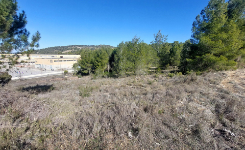 terreno-biar-venta-instituto3