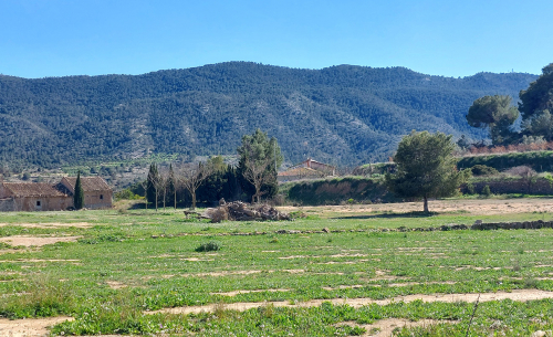 hondon-nieves-chalet-obra-nueva-villa1B