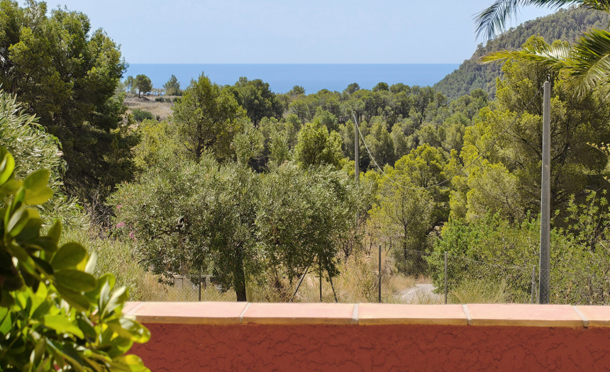 finestrat-finca-country-house-alicante-pool16