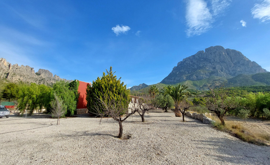 finestrat-finca-country-house-alicante-pool20