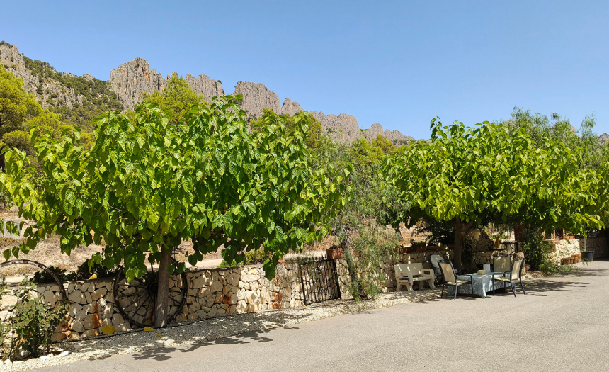 finestrat-finca-country-house-alicante-pool21C