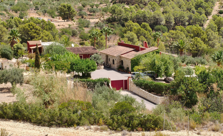 finestrat-finca-country-house-alicante-pool6