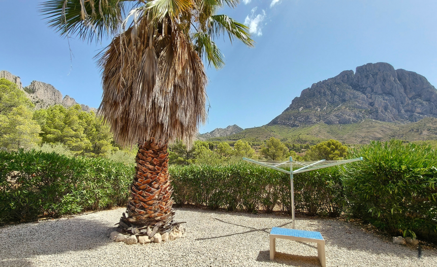 finestrat-finca-country-house-alicante-pool62