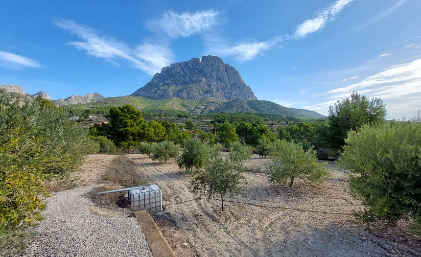 finestrat-finca-country-house-alicante-pool65