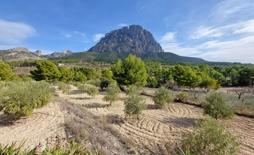 finestrat-finca-country-house-alicante-pool66