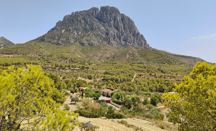 finestrat-finca-country-house-alicante-pool7
