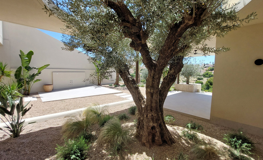 luxury-villa-la-marina-spain-for-sale-pool7